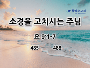 소경을 고치시는 주님 (요 9:1-7)