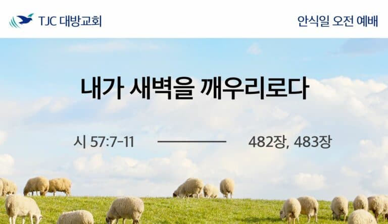 내가 새벽을 깨우리로다(시 57:1-11)