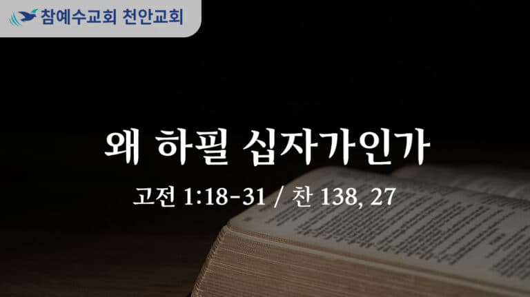 왜 하필 십자가인가 (고전 1:18-31)