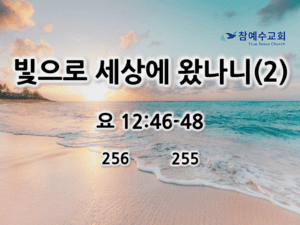 빛으로 세상에 왔나니(2) (요 12:46-48)