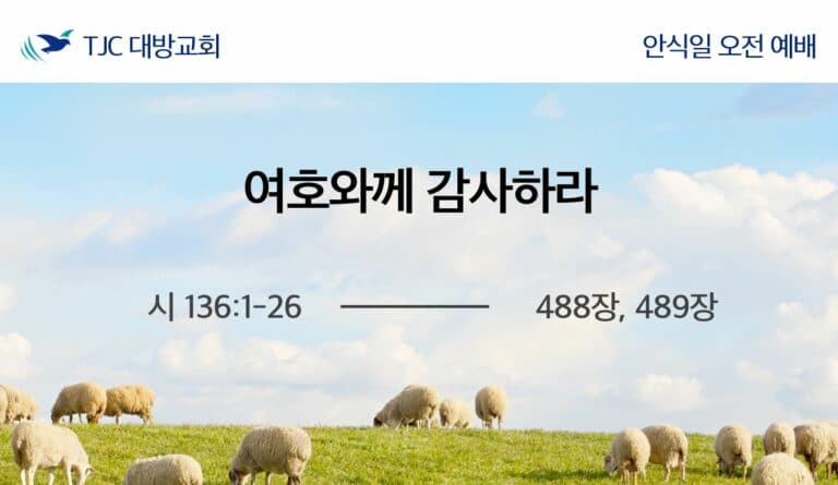 여호와께 감사하라 (시 136:1-26)