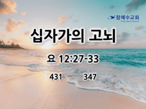 십자가의 고뇌 (요 12:27-33)