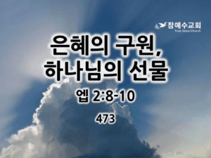 은혜의 구원, 하나님의 선물 (엡 2:8-10)