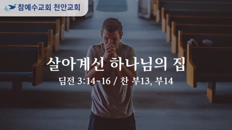 살아계신 하나님의 집 (딤전 3:14-16)