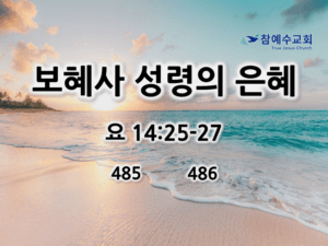 보혜사 성령의 은혜 (요 14:25-27)