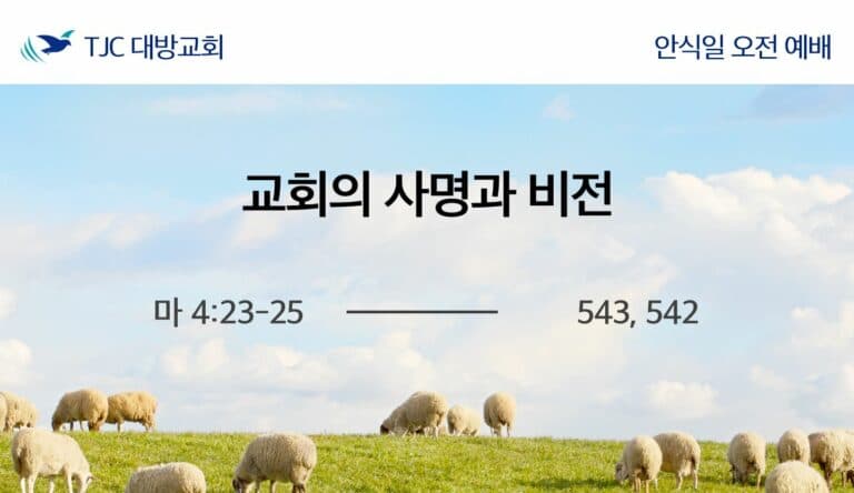 교회의 사명과 비전 (마 4:23-25)