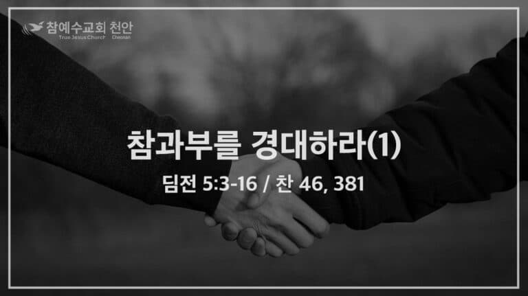 참 과부를 경대하라(1) (딤전 5:3-16)