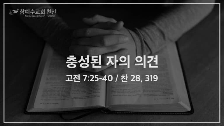 충성된 자의 의견 (고전 7:25-40)