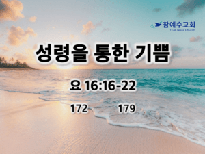 성령을 통한 기쁨(요 16:16-22)