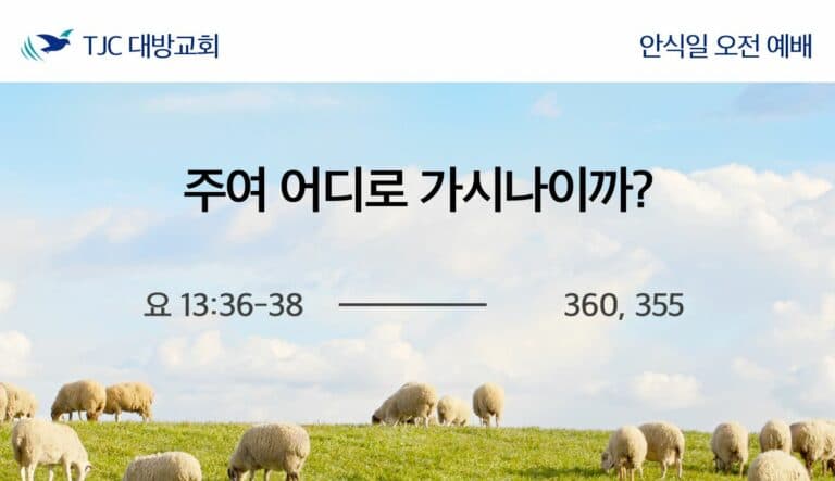주여 어디로 가시나이까? (요 13:36-38)