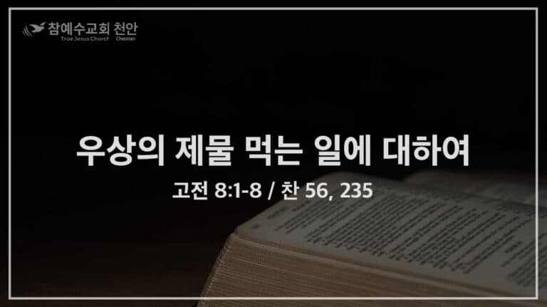 우상의 제물 먹는 일에 대하여 (고전 8:1-8)