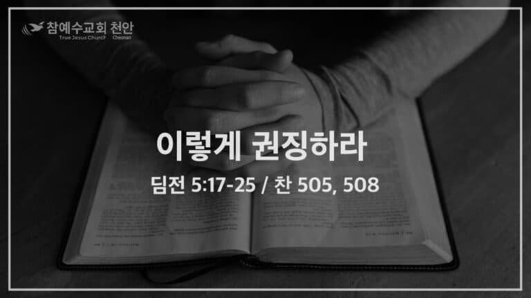 이렇게 권징하라 (딤전 5:17-25)