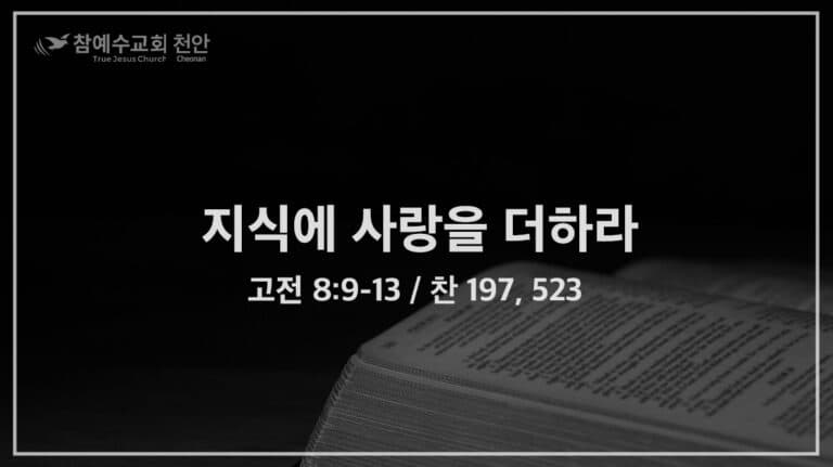 지식에 사랑을 더하라 (고전 8:9-13)