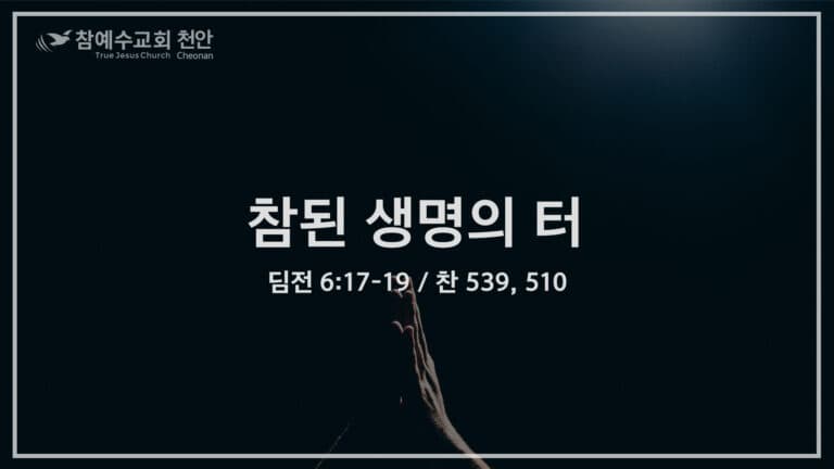 참된 생명의 터 (딤전 6:17-19)