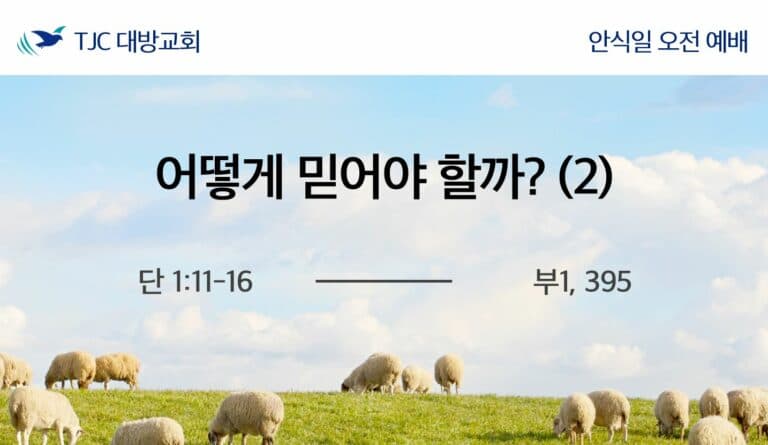 어떻게 믿어야 할까? 2 (단 1:11-16)