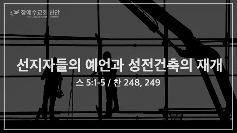 선지자들의 예언과 성전건축의 재개 (스 5:1-5)