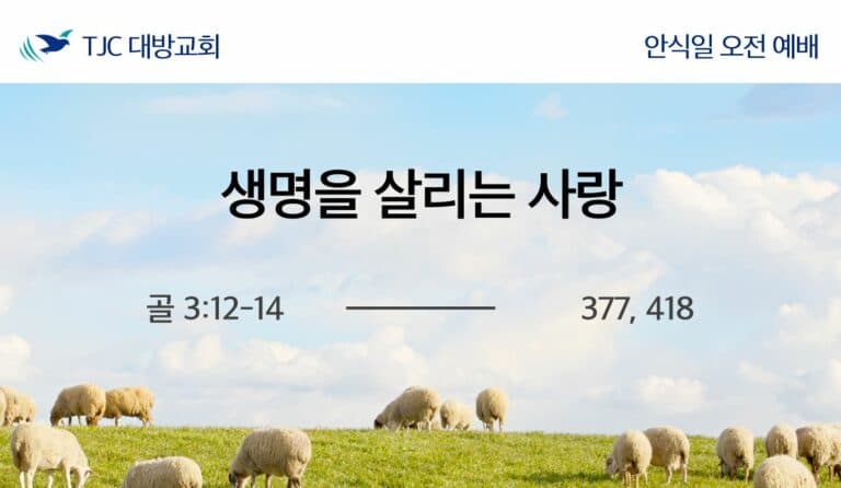 생명을 살리는 사랑(골 3:12-14)