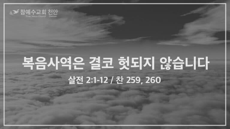 복음사역은 결코 헛되지 않습니다 (살전 2:1-12)