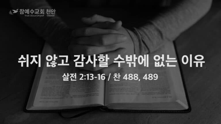 쉬지 않고 감사할 수밖에 없는 이유 (살전 2:13-16)
