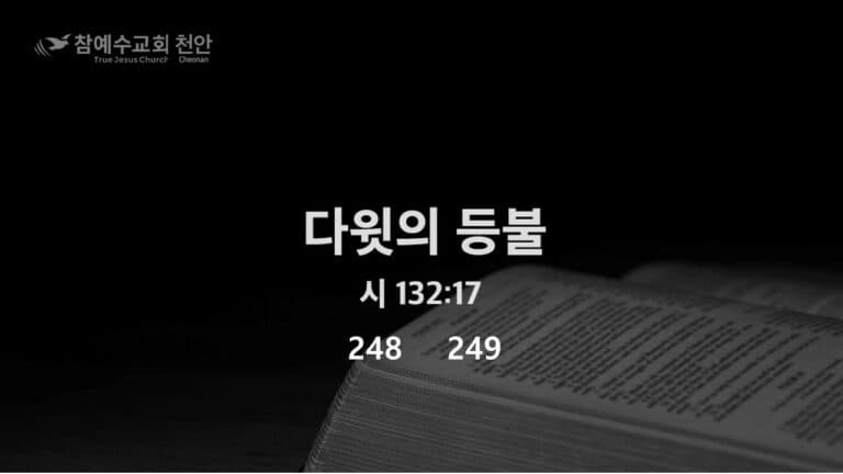 다윗의 등불 (시 132:17)