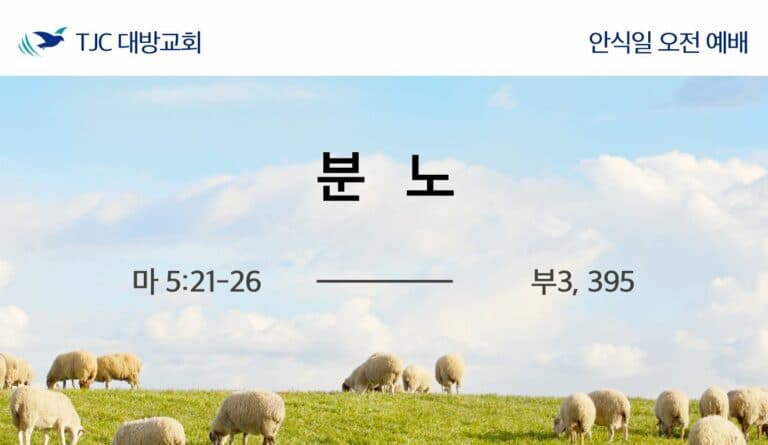 분노 (마 5:21-26)