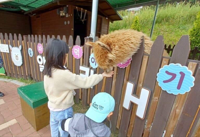 [교회행사] 안동교회 가을 나들이