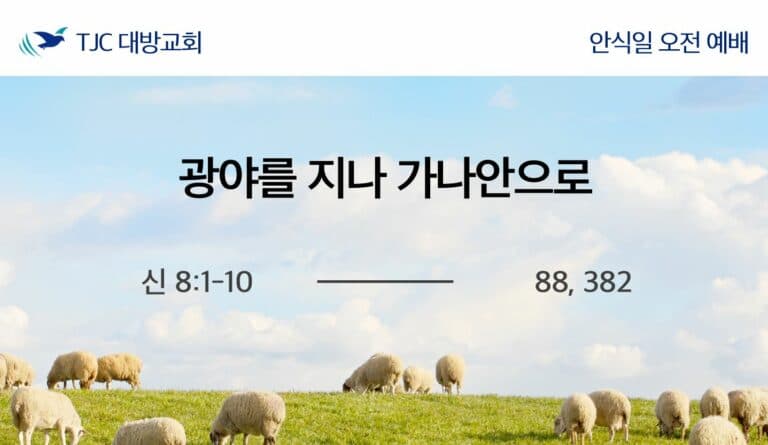 광야를 지나 가나안으로 (신 8:1-10)