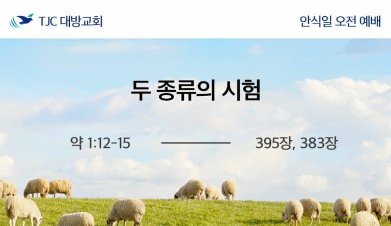 두 종류의 시험 (약 1:12-15)