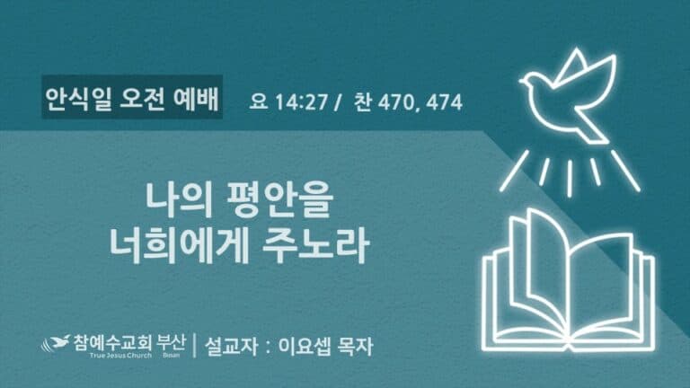 [복음 메세지] 나의 평안을 너희에게 주노라 (요 14:27)
