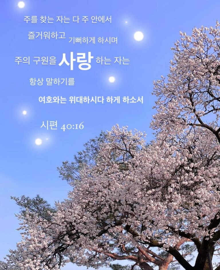 [신앙의 향기] 대학부 최하은자매 작품