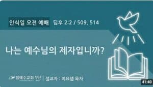 [복음메시지] 나는 예수님의 제자입니까?