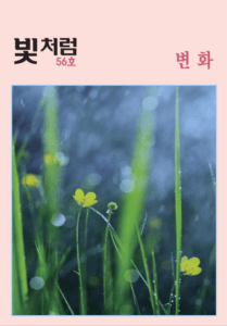 빛처럼 56호