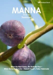 MANNA 80: SUMMER