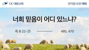 너희 믿음이 어디 있느냐? (눅 8:22-25)